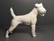 Allach Porcelain &ndash; Standing Fox Terrier &ndash; Model 19 &ndash; Th. K&auml;rner