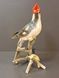 Red-Crested Cardinal Porcelain Figurine &ndash; Hutschenreuther Selb &ndash; Design by G. R. Granget