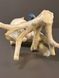 Red-Crested Cardinal Porcelain Figurine &ndash; Hutschenreuther Selb &ndash; Design by G. R. Granget