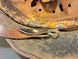 German M40 Helmet SE64 &ndash; Ex-Tropical Camo &ndash; Rare Find