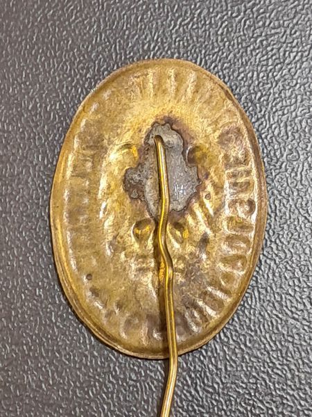 Odznaka "Polskie Drużyny Strzeleckie Zarzewie 1909-1934" (II RP)
