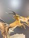 Porcelain Figurine "Leaping Gazelles" &ndash; Hutschenreuther &ndash; Designed by G. Granget