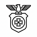 Wpinki / Odznaki zjazdowe